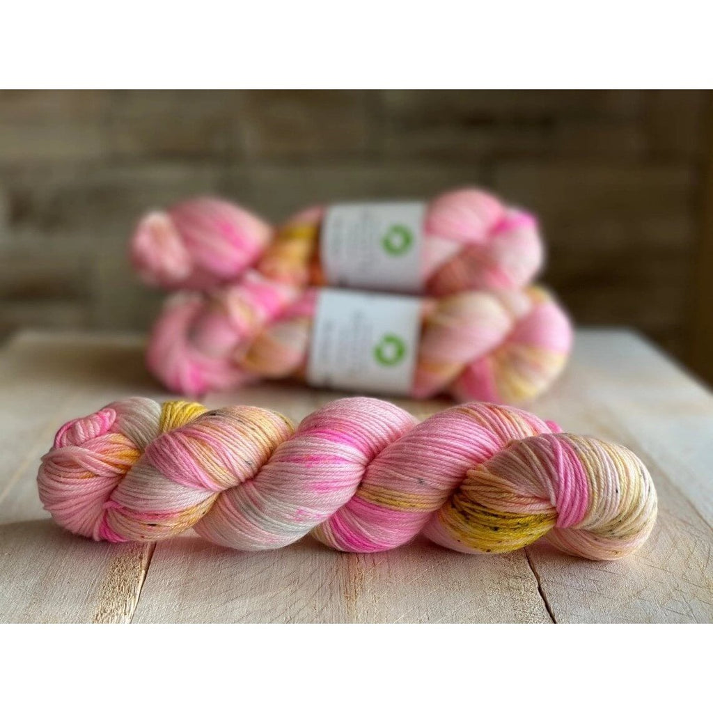 Biscotte Yarns Bis-Sock