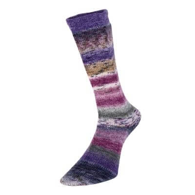 Estelle Evolution Celebration Sock