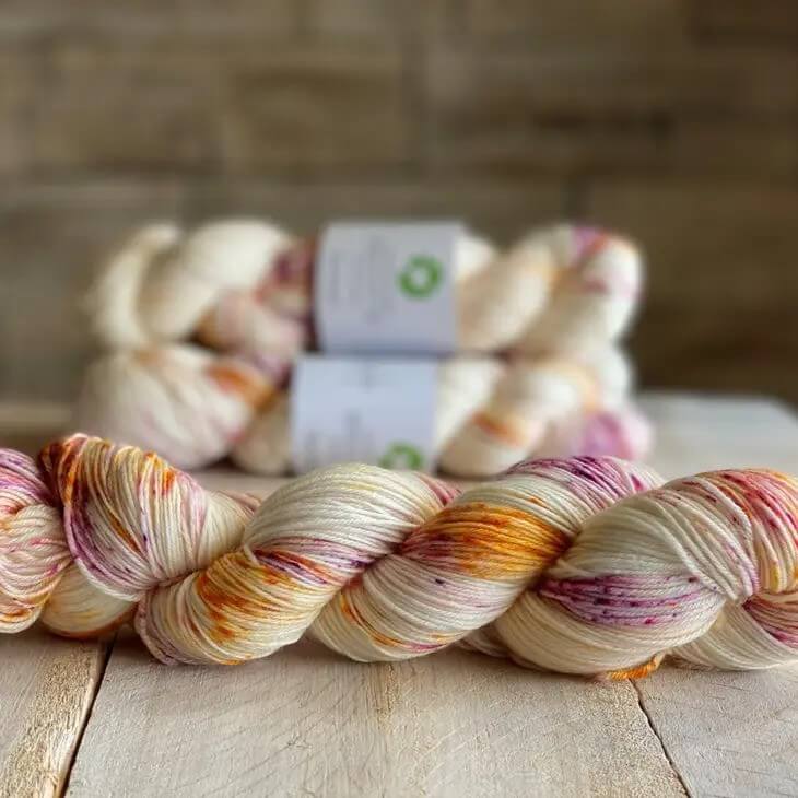 Biscotte Yarns Bis-Sock Une Chance Qu'on S'a